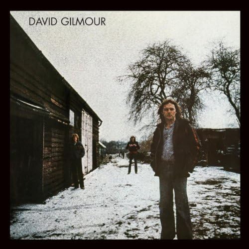 Amazon.com: David Gilmour: CDs & Vinyl